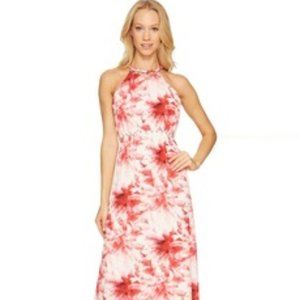Tahari ASL Maxi Floral Print Dress